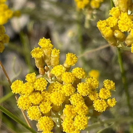 Διαμέρισμα Grgo